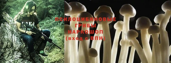 ПСИЛОЦИБИНОВЫЕ ГРИБЫ Алексин